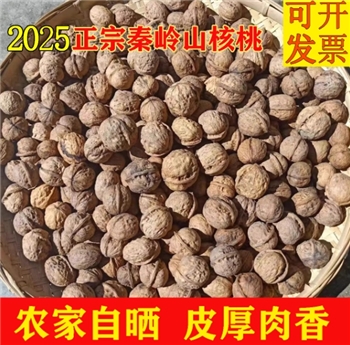 陕西商洛山核桃5斤秦岭野生厚皮核桃老品种2025新货老树干核桃仁