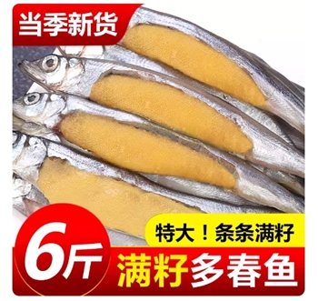 多春鱼满籽新鲜冷冻多籽鱼海鲜水产鲜活特大冻干海鱼烧烤食材包邮